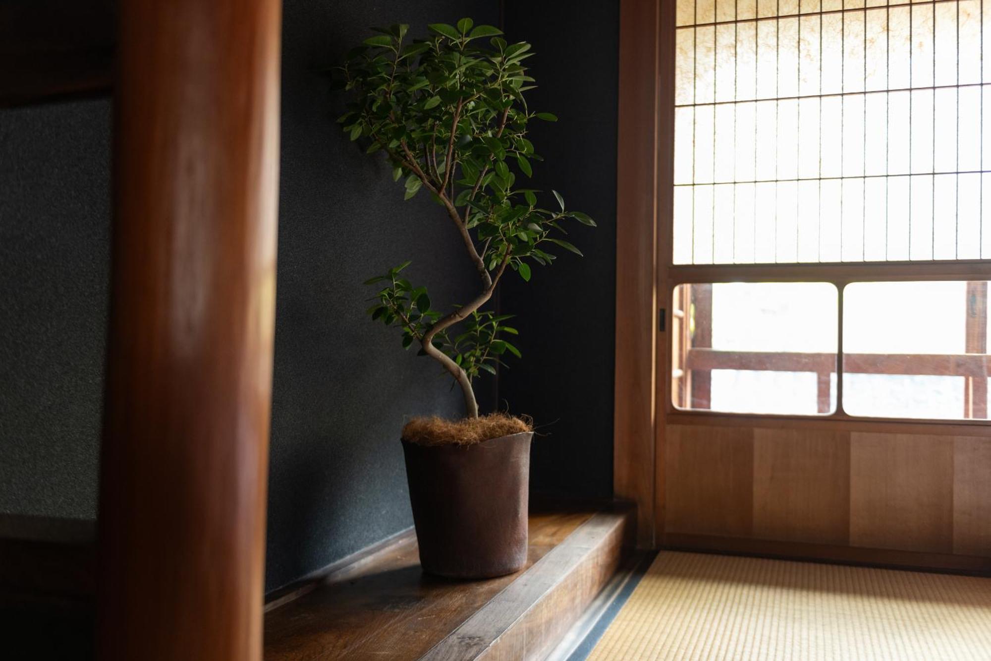 篠山城下町ゲストハウス Quolo Tamba-Sasayama Dış mekan fotoğraf